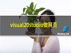 visual studio做网页