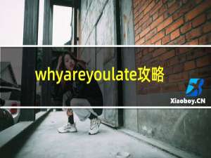 whyareyoulate攻略