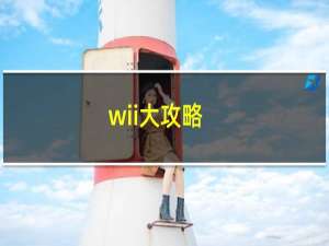 wii大攻略