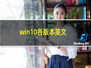 win10各版本英文