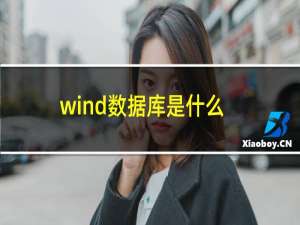 wind数据库是什么