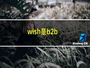 wish是b2b