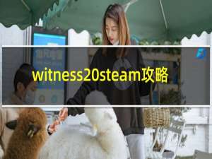 witness steam攻略