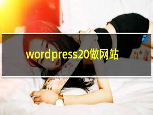 wordpress 做网站