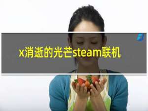 x消逝的光芒steam联机