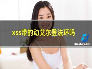 xss带的动艾尔登法环吗