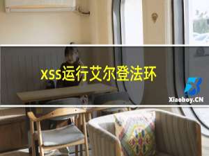 xss运行艾尔登法环