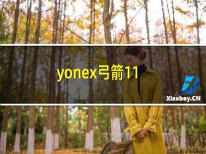 yonex弓箭11