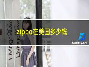 zippo在美国多少钱