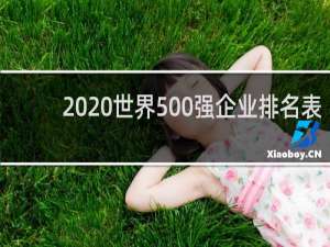 2020世界500强企业排名表（世界500强的中国企业名单）