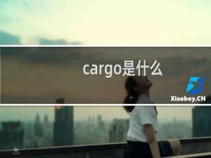cargo是什么