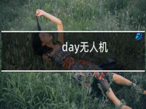 day无人机