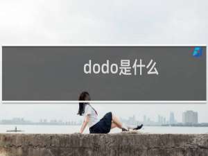 dodo是什么