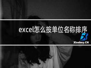 excel怎么按单位名称排序（表格怎么按单位名称相同排序）