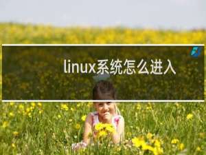 linux系统怎么进入