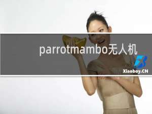 parrotmambo无人机
