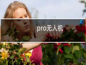 pro无人机