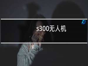 s300无人机