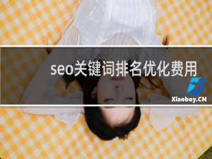 seo关键词排名优化费用（）