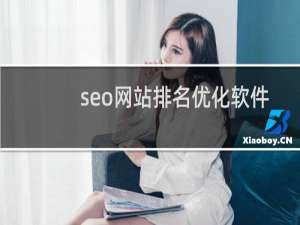 seo网站排名优化软件（快速排名优化推广）
