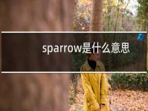 sparrow是什么意思