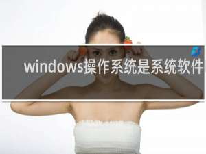 windows操作系统是系统软件吗