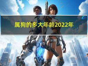 属狗的多大年龄2022年