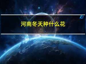 河南冬天种什么花