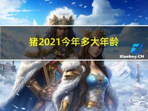 猪2021今年多大年龄