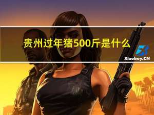 贵州过年猪500斤是什么