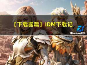 【下载器篇】IDM下载记录分析（简）