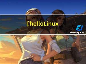 【hello Linux】基础IO