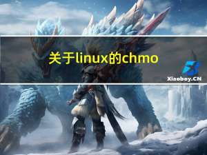 关于linux的chmod问题