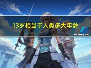 13岁相当于人类多大年龄