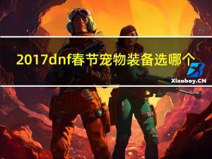 2017dnf春节宠物装备选哪个