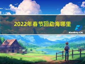 2022年春节回勐海哪里