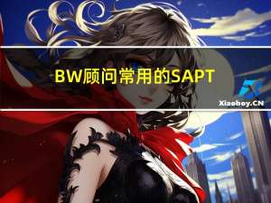 BW顾问常用的SAP T_CODE