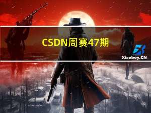 CSDN 周赛 47 期