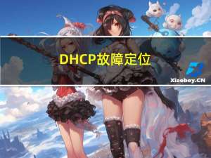 DHCP故障定位