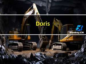 Doris（12）：高级设置