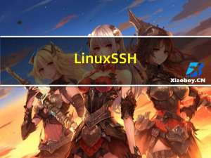 Linux - SSH - SSH免密登录（假设已生成过rsa key pair）