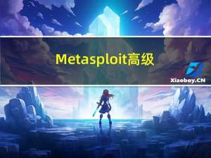 Metasploit高级技术【第十章】