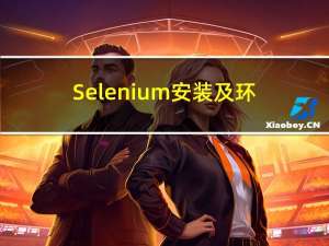 Selenium安装及环境配置