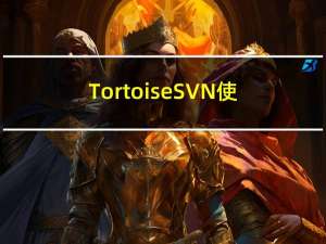 TortoiseSVN使用-权限配置