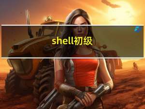 shell 初级