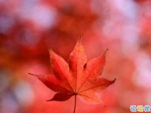 描写秋天的句子优美带图片 秋天到了微信心情说说