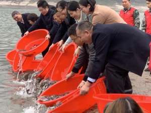 长江上游七百万珍稀特有鱼苗在长江“安家落户”！