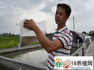 来自湖北阜阳的年轻人丁杰，靠养殖泥鳅，开创了一条致富路
_水产养殖(养泥鳅的技巧)