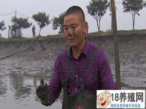 沈文根:龟掺黑鱼养鱼一年卖一千多万元
_水产养殖(养甲鱼的技巧)