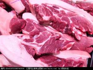 2020年8月19日全国猪肉价格走势